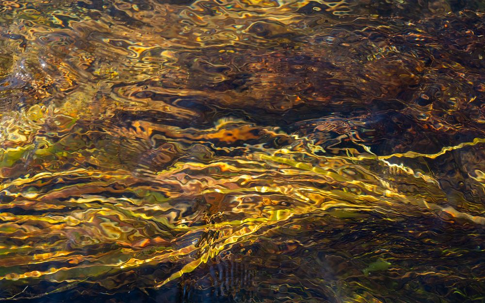 Photograph by Ирина Кудрина