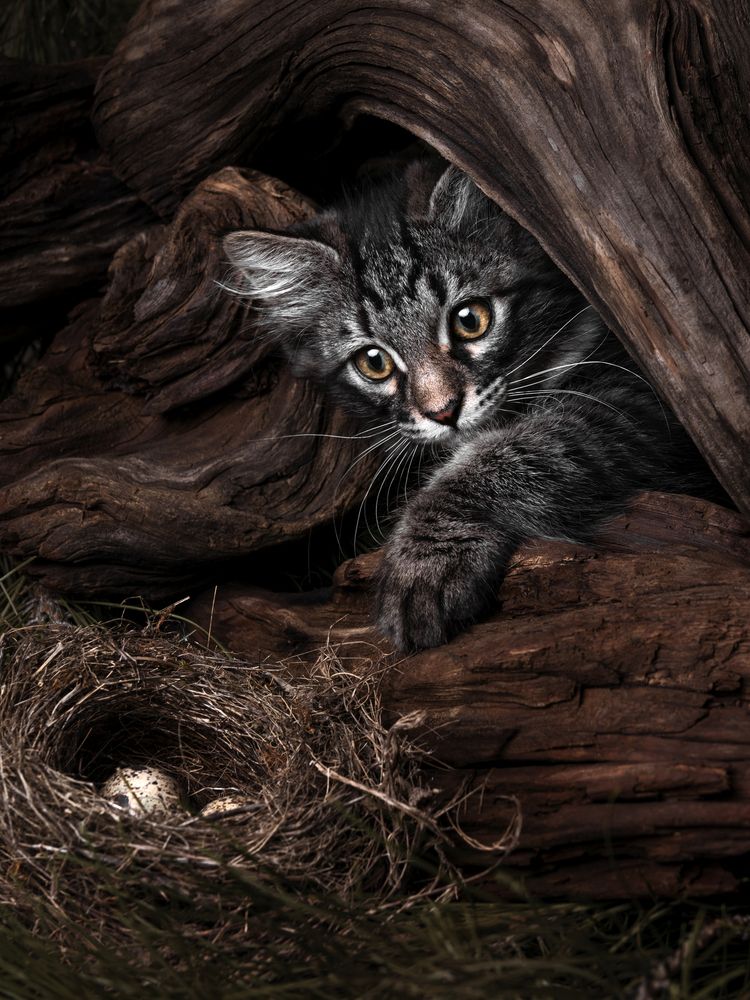 Photograph by Evgeniy Savikov