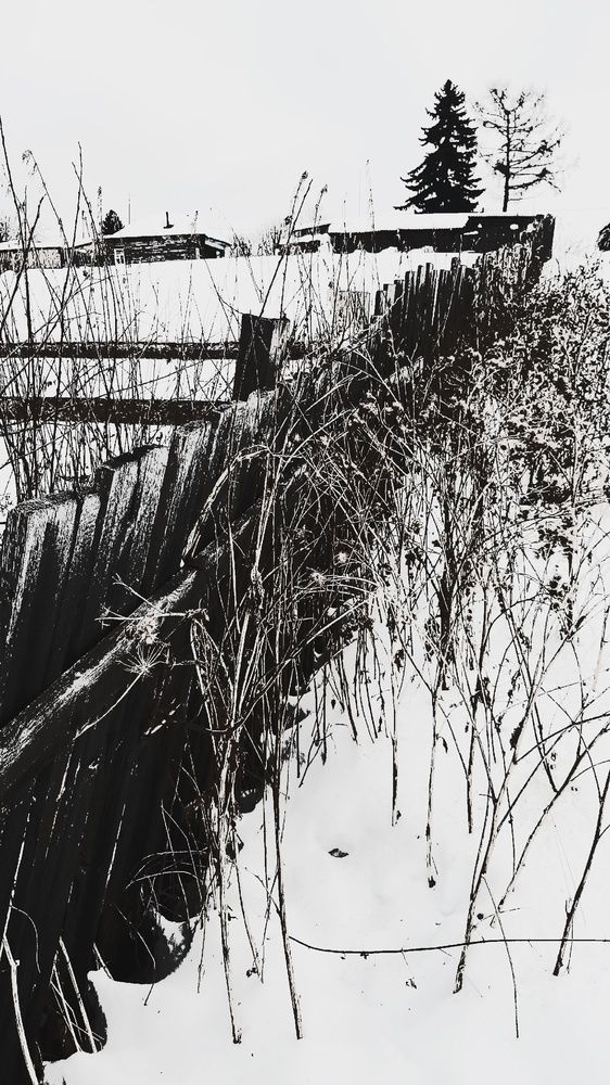 Photograph by Игорь Тюменцев