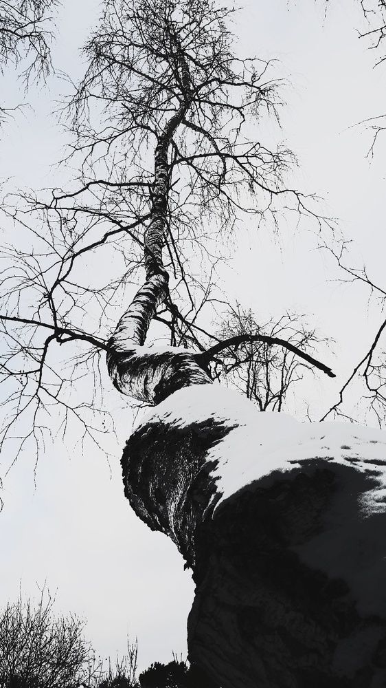 Photograph by Игорь Тюменцев