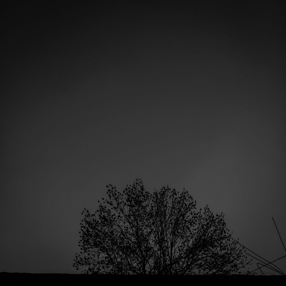 Photo #11895105