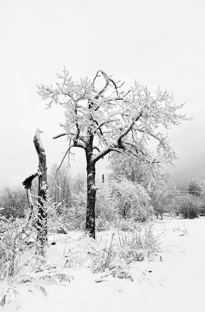 Фотография автора Люда Утина