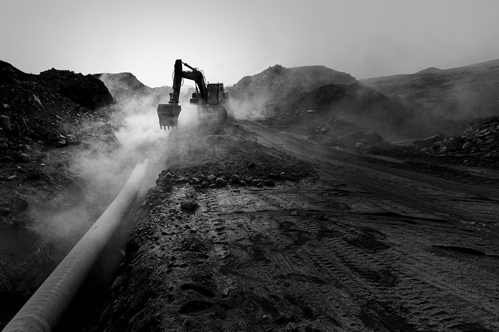 Фотография автора Neda Shirazi