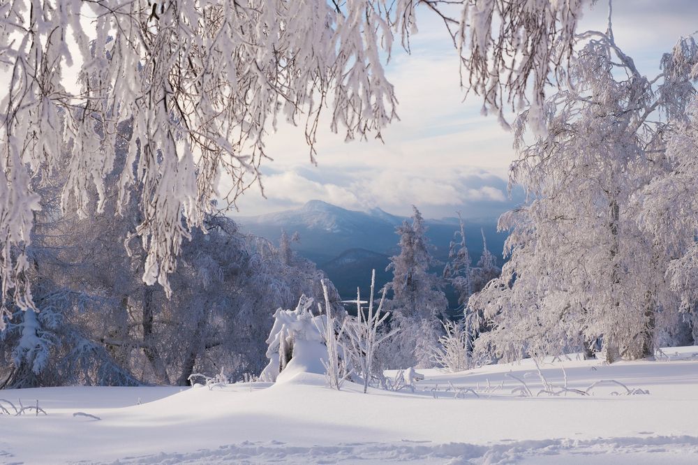 Photograph by Ирина Толокновская