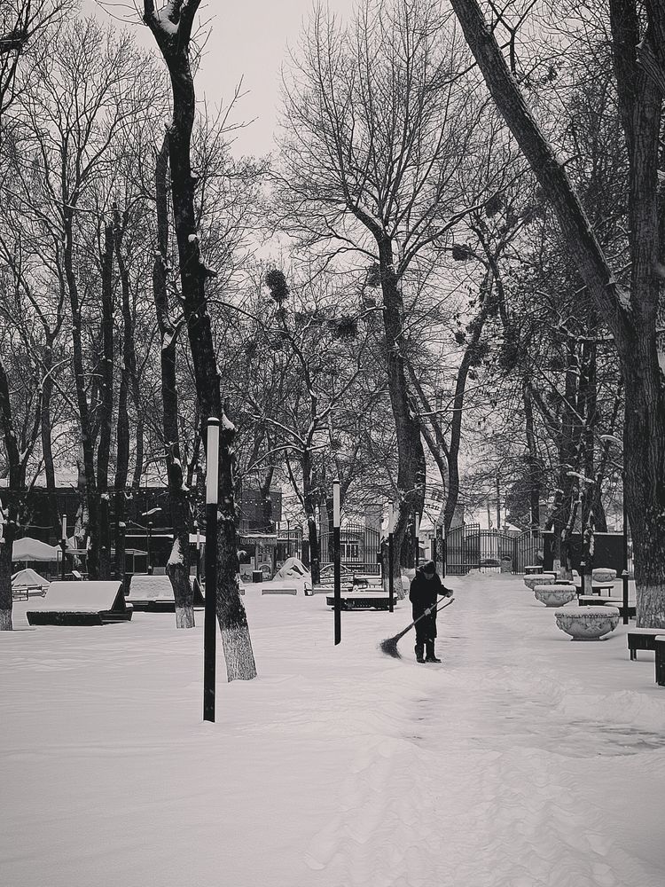 Городской парк. Михайловск