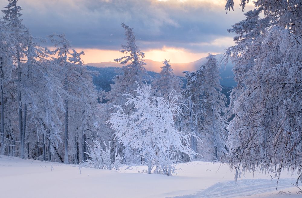 Photograph by Ирина Толокновская