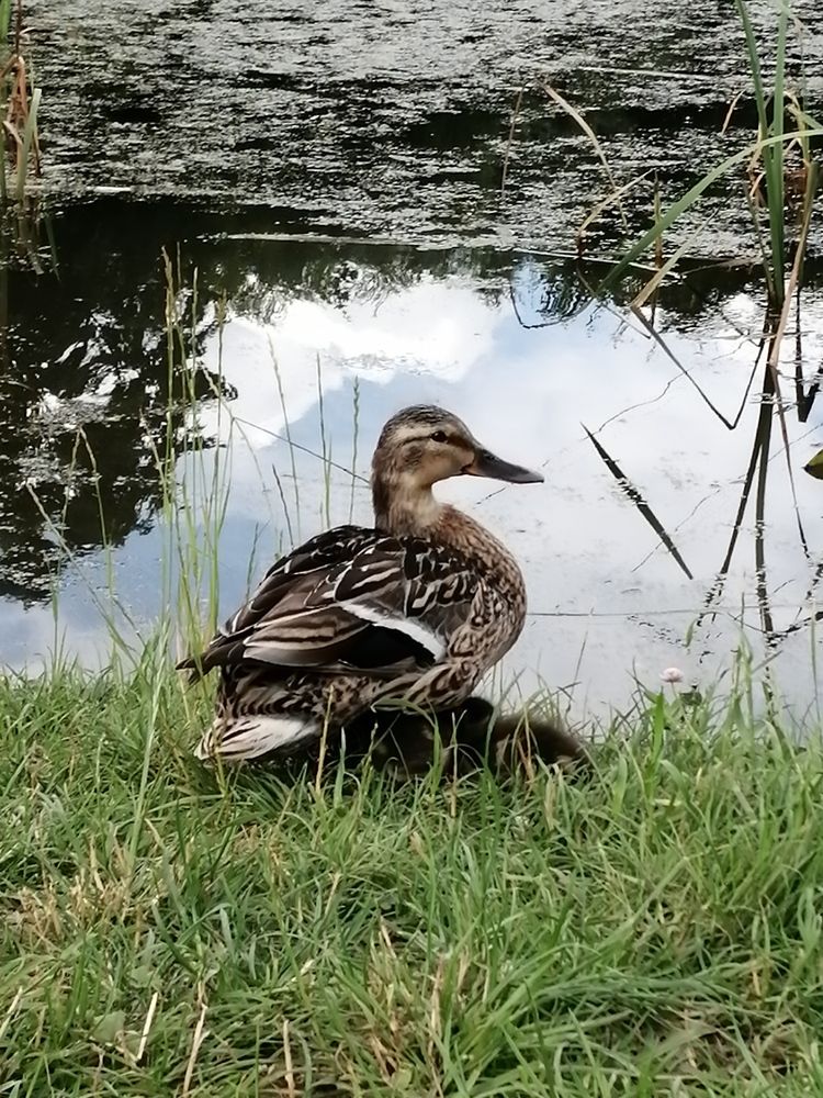 Фотография автора Кузьмичева Екатерина Васильевна