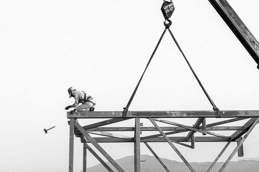 Фотография автора Neda Shirazi