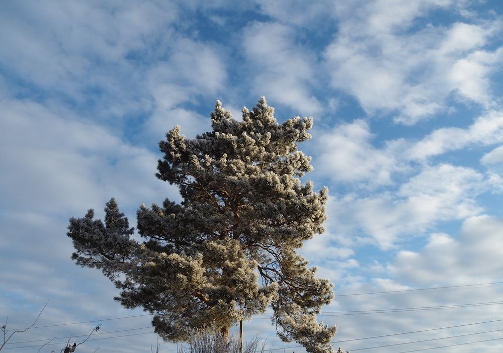 Photograph by МАрина Соловьева