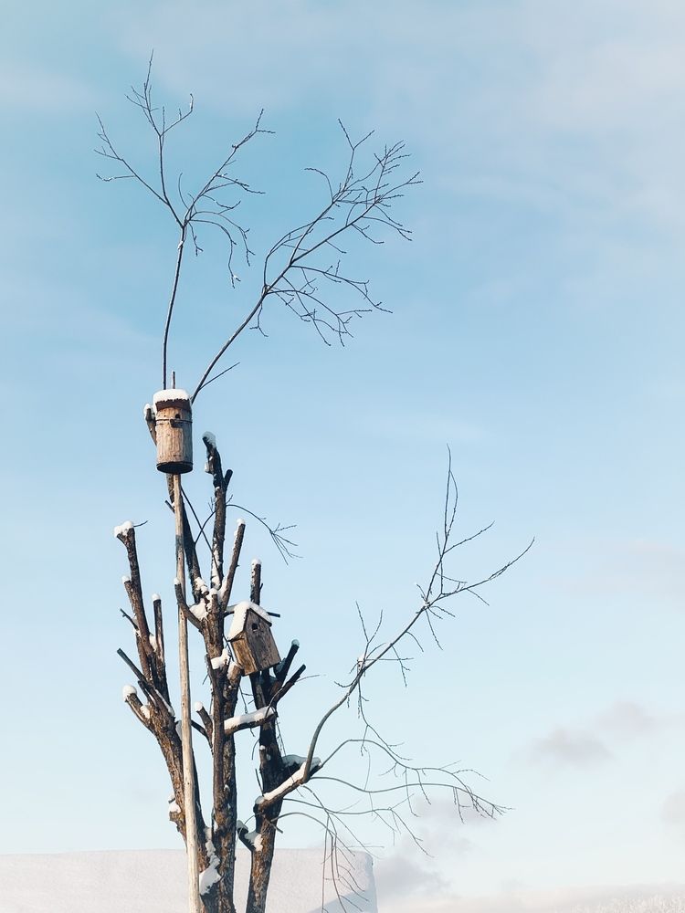 Фотография автора Люда Утина