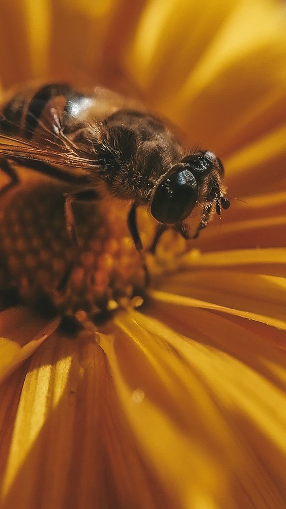 Photograph by Наталия