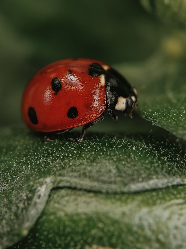 Photograph by Наталия