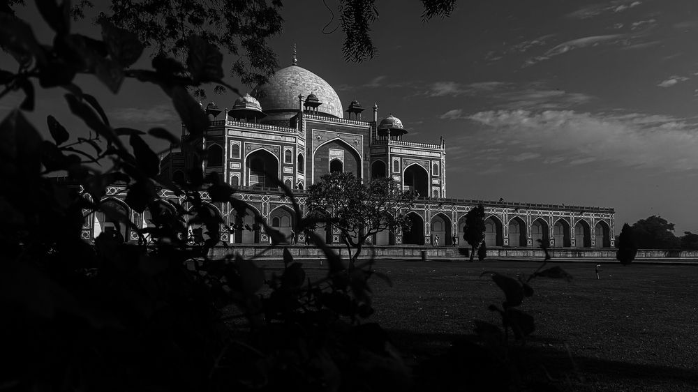 Photograph by Shivanshu Singh tiwari