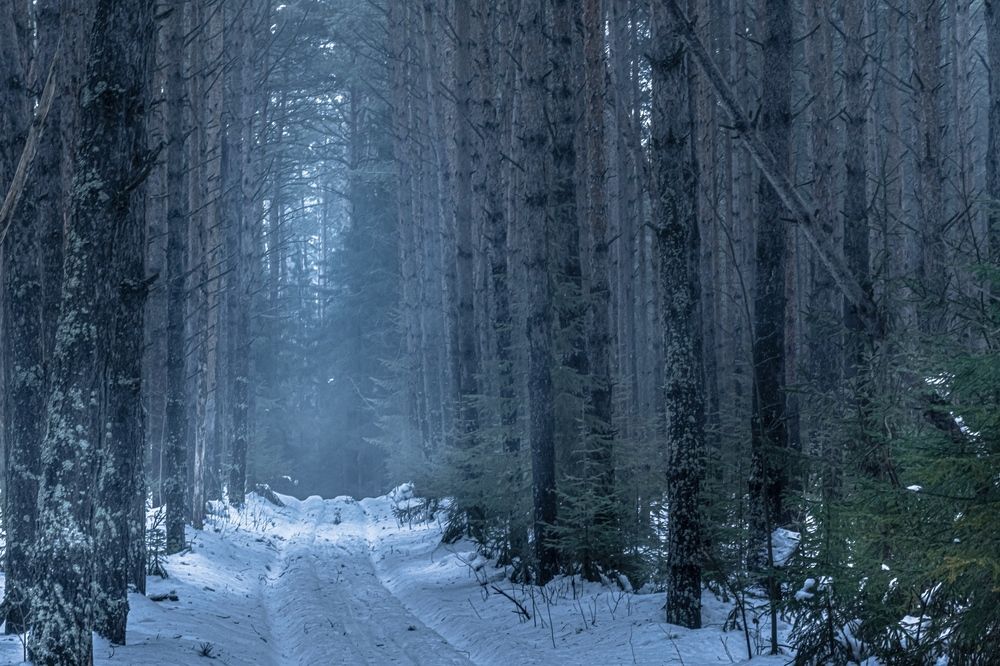 Photograph by Людмила Баймухаметова