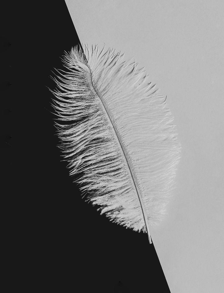 Фотография автора Анна Балабан