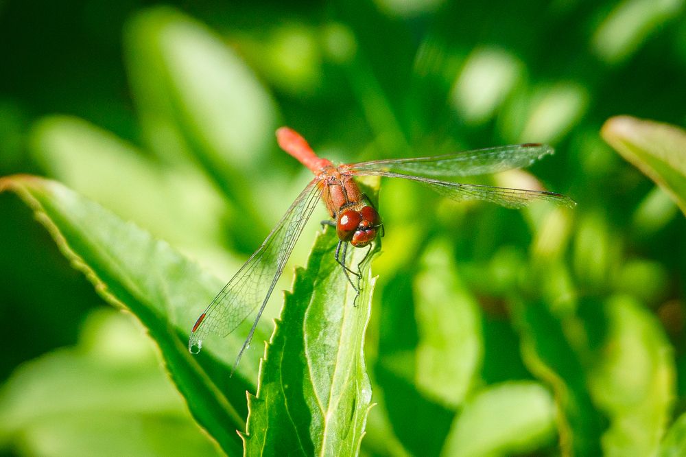 Photograph by Андрей Валерьевич