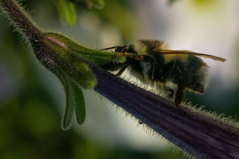 Photograph by Олег Бережных