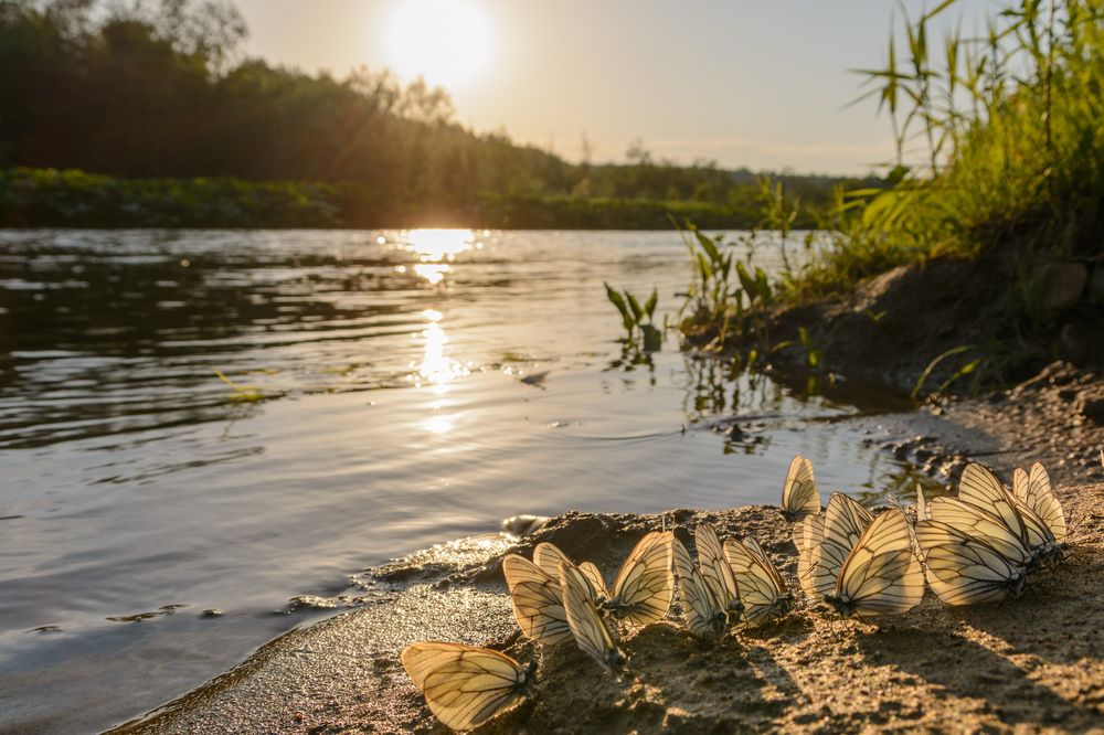 Photograph by Олег Бережных