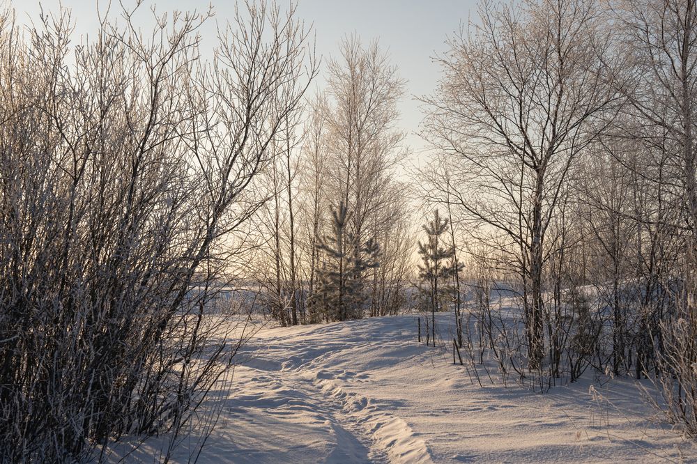 Photograph by Ковригина Евгения