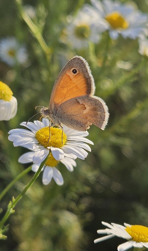 Фотография автора Natalia Cucias