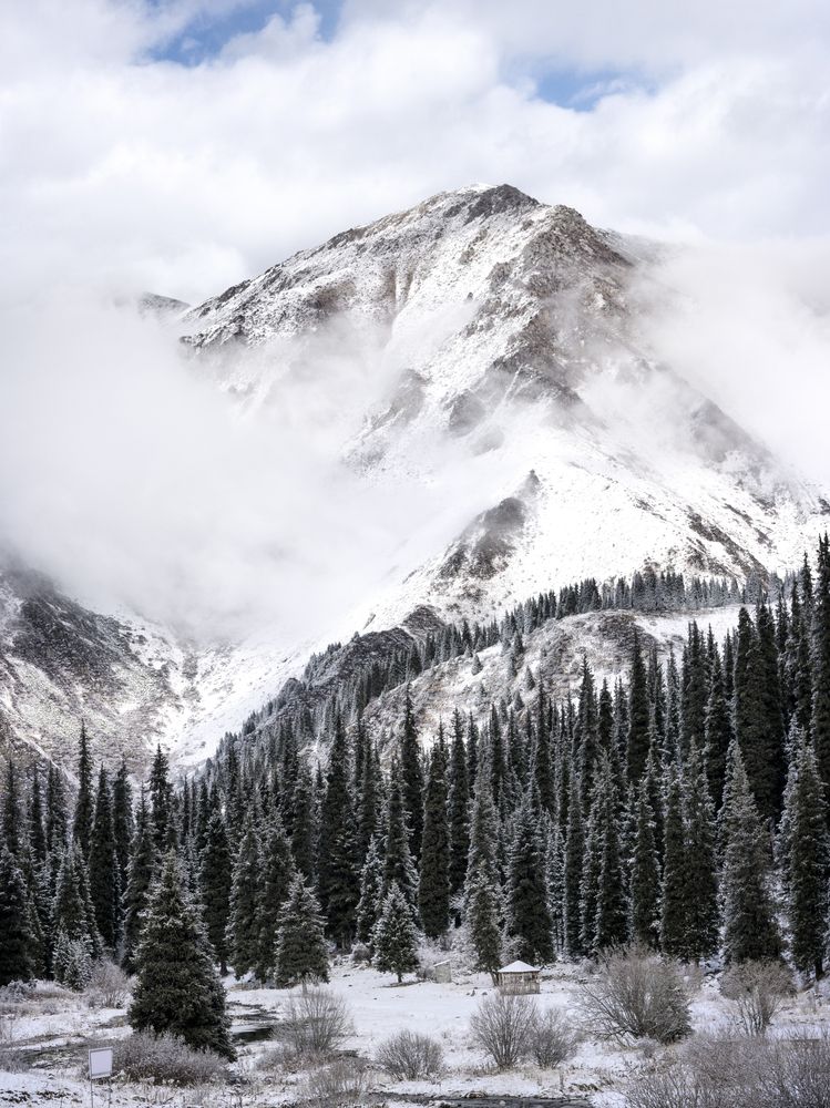 Photograph by Evgeniy Savikov