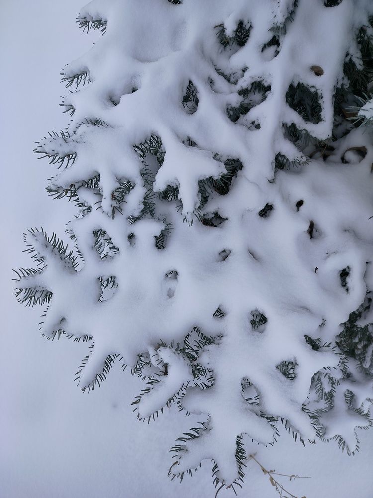 Фотография автора Екатерина Косарева