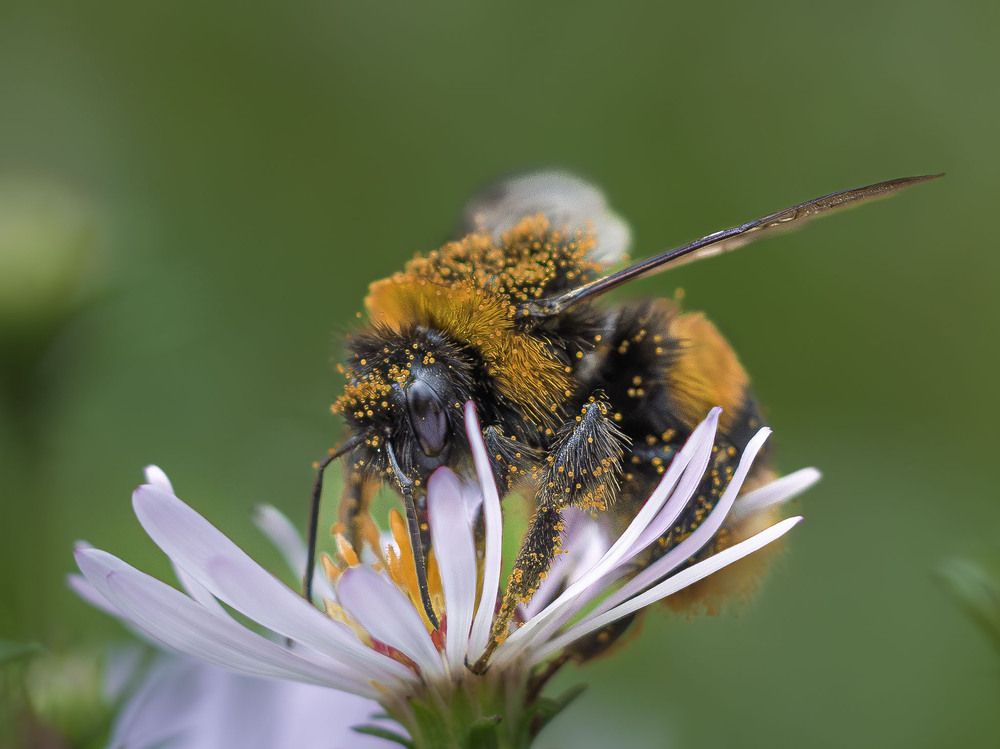 Photograph by Борис Полтавец