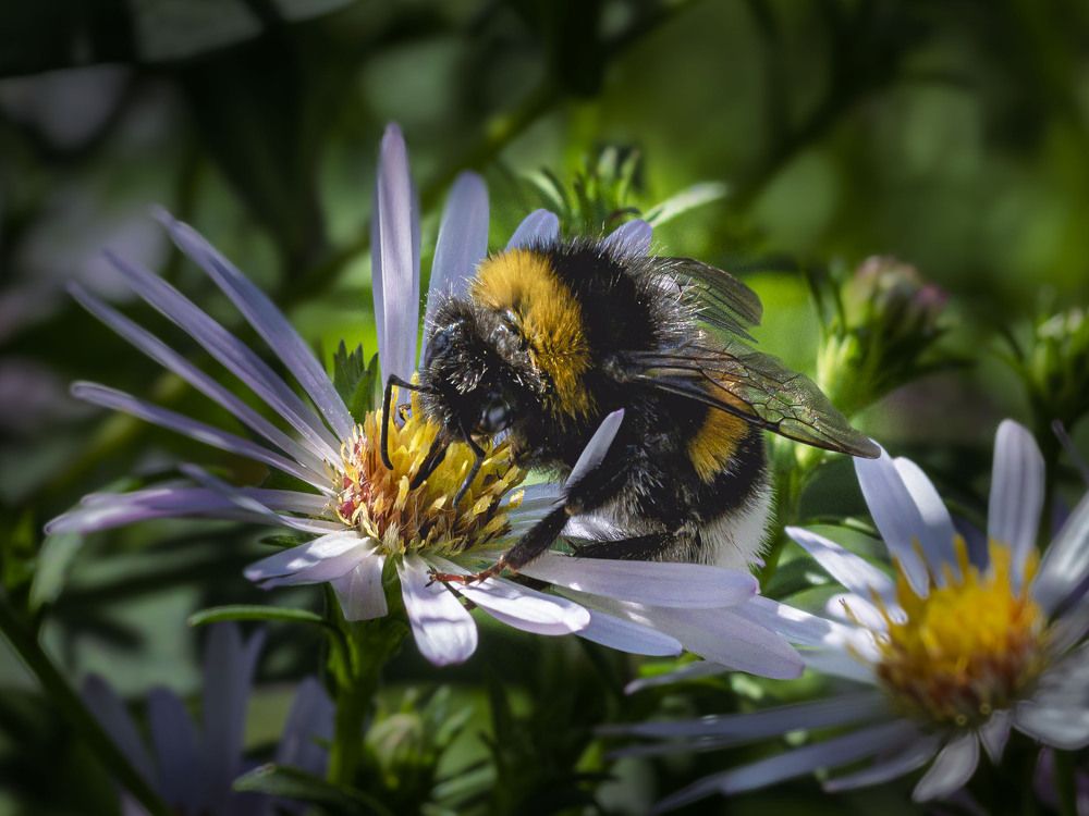 Photograph by Борис Полтавец