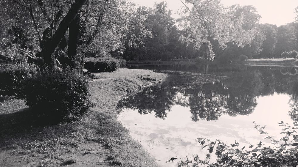 Photograph by Виктор Зотов