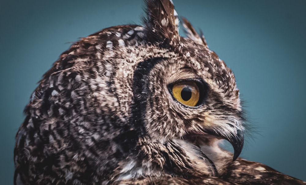 Photograph by Keegan Boland