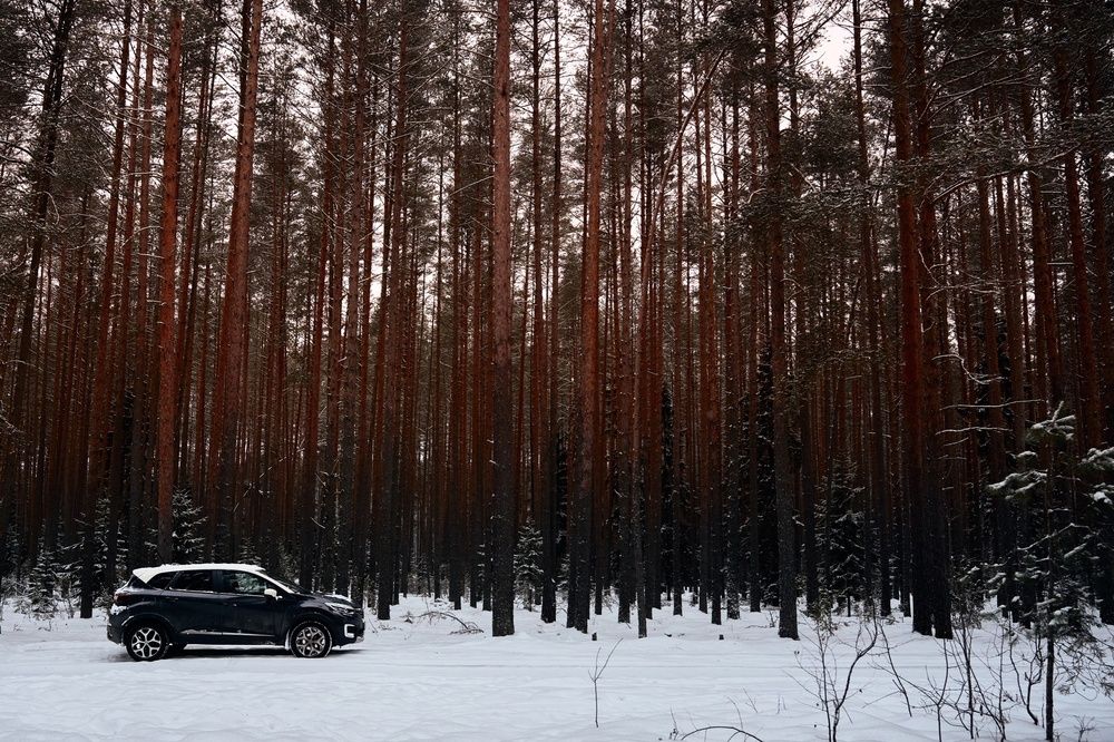 Фотография автора Денис Гарусов