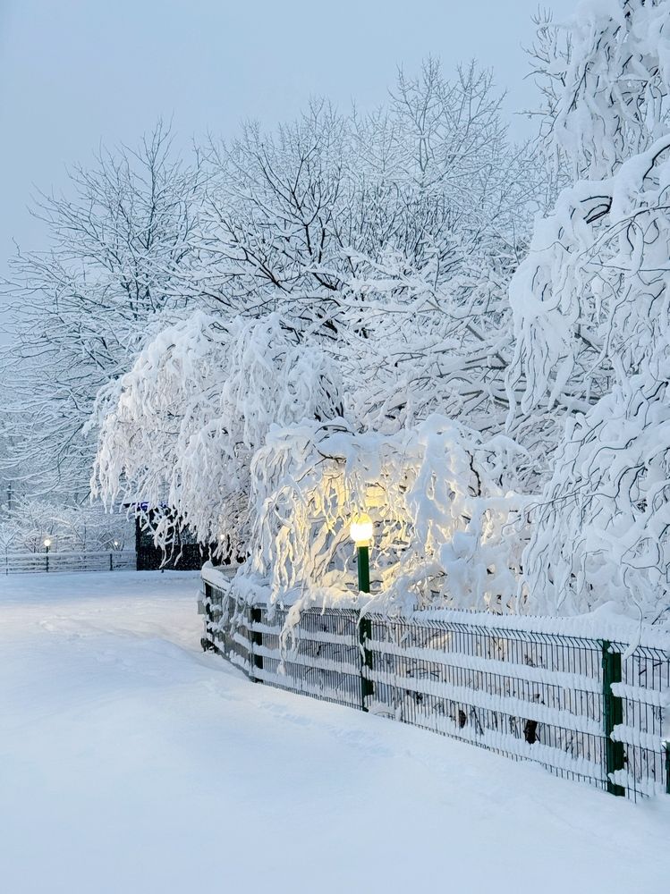 Photograph by Татьяна Семёнова