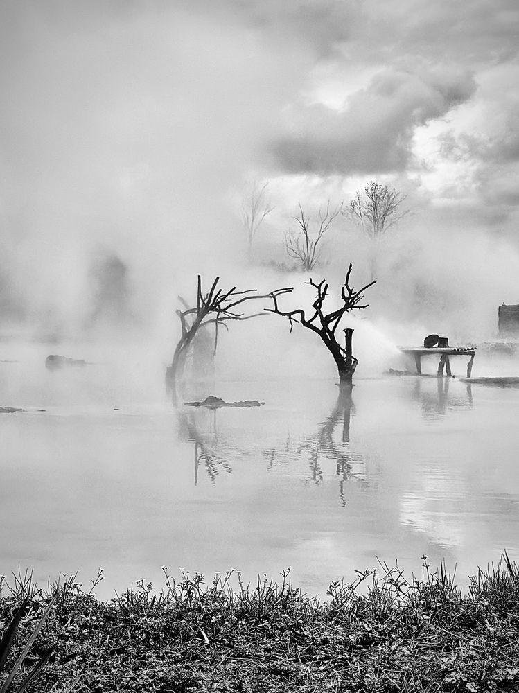 Фотография автора Наталья Хоруженко