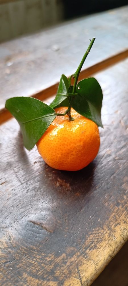 Photograph by Валентин Волк