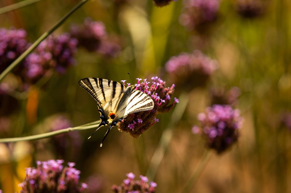 Photograph by Илья