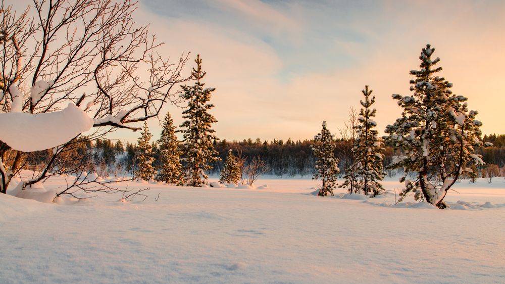 Photograph by Сергей Тютюнник