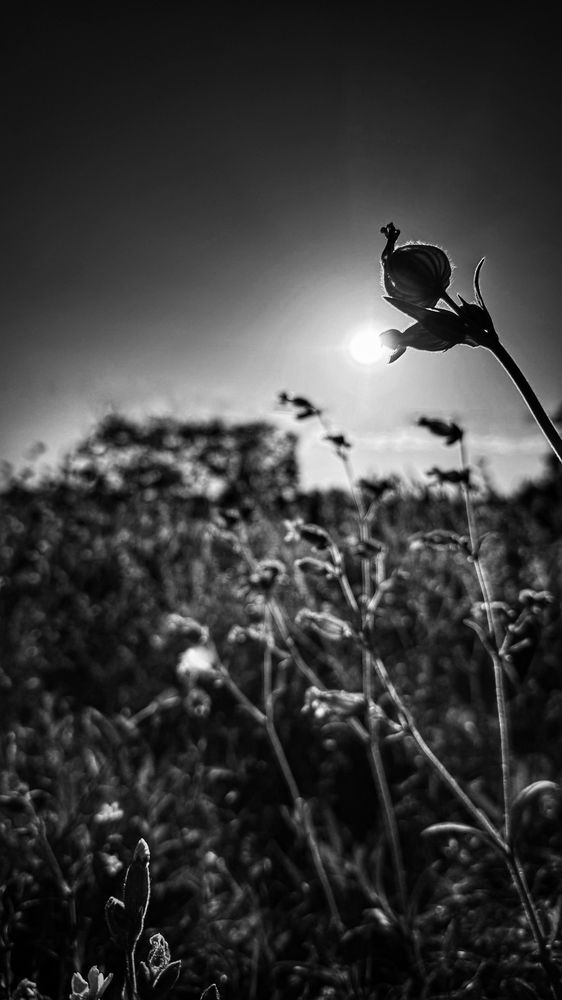 Photograph by Victoria Mogulyan