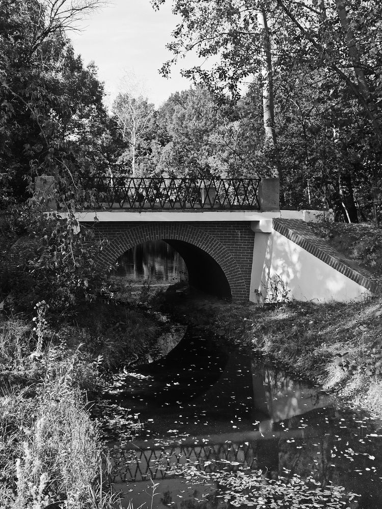 Photograph by Елена Подшевалова