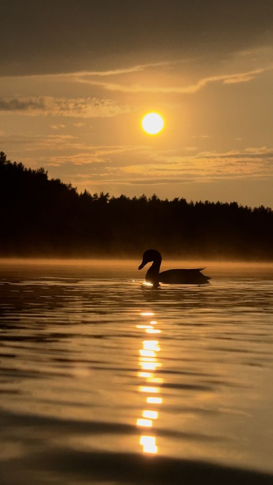 Photograph by Aleksandra