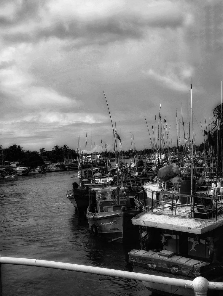 Photograph by Prabath Mihiran Rodrigo