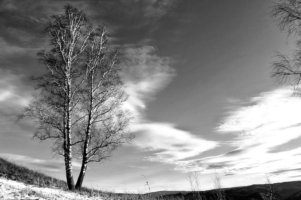 Photograph by Зинаида Савельева