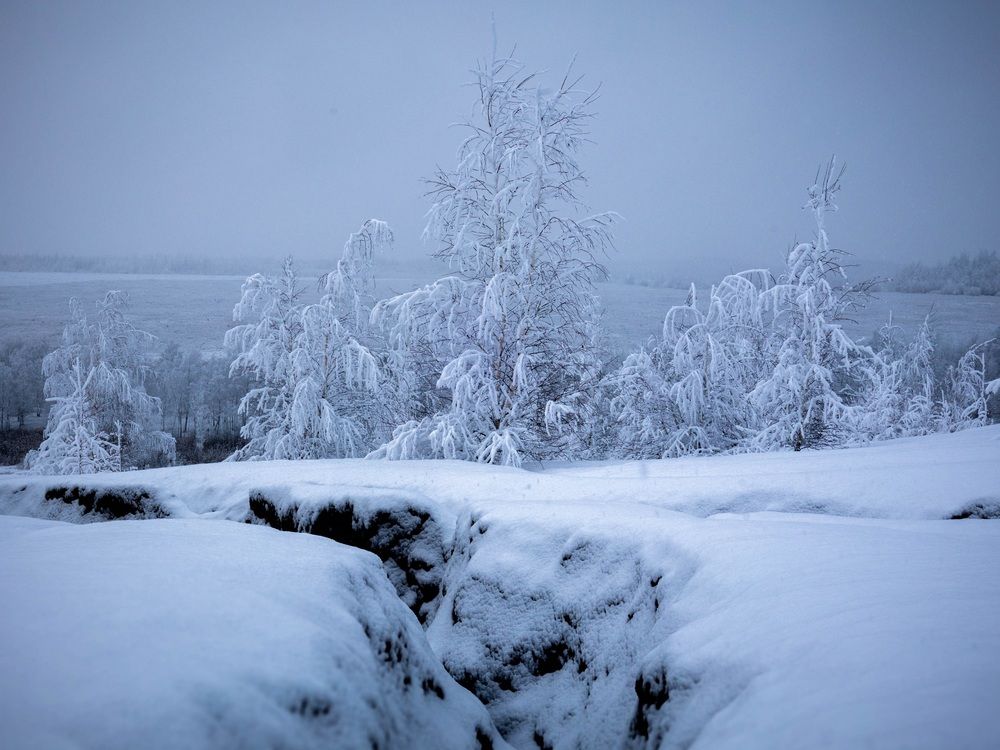 Photograph by Сильва Татьяна