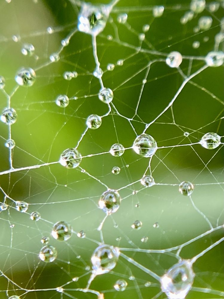 Фотография автора ГУЗАЛИЯ ГАНИЕВА