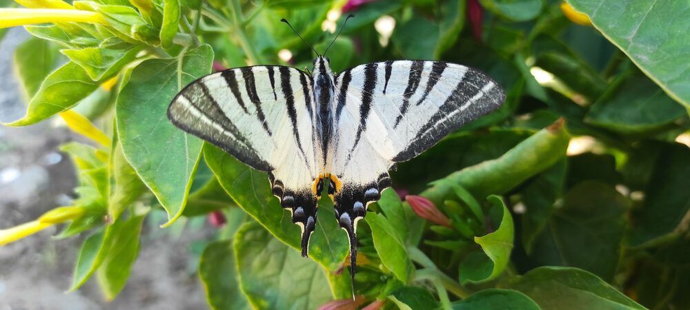 Photograph by Ирина Бочарова