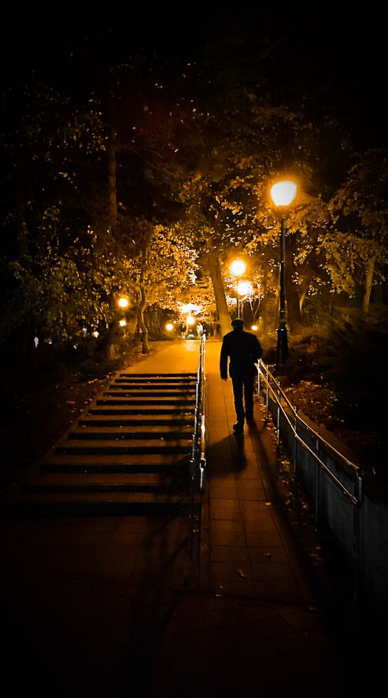 Вечерние фонари / Evening Lanterns