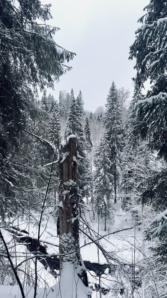 Photograph by Aleksandra