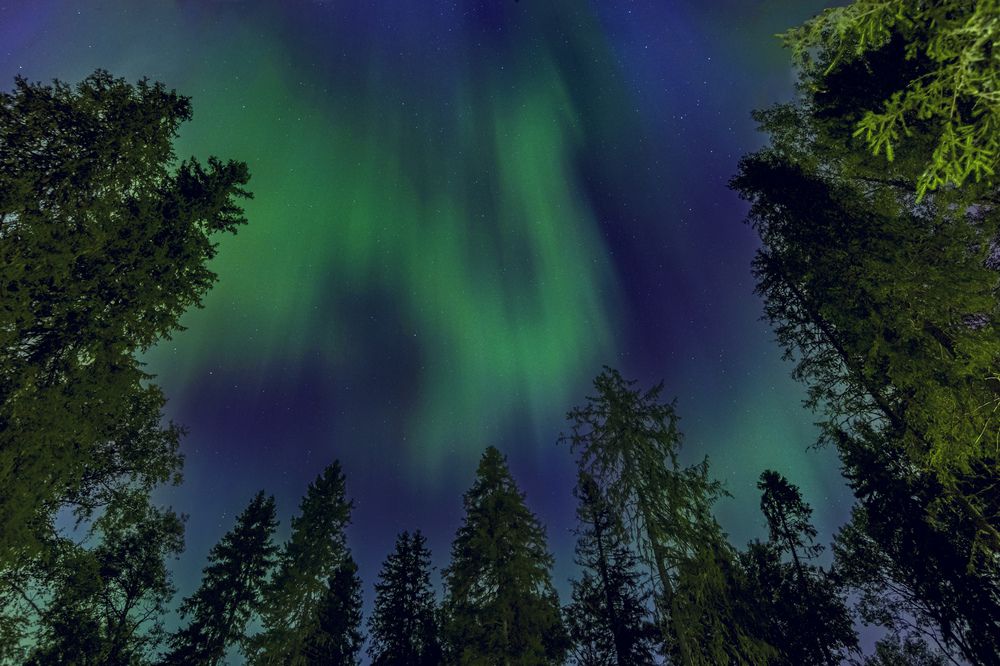 Photograph by Сильва Татьяна