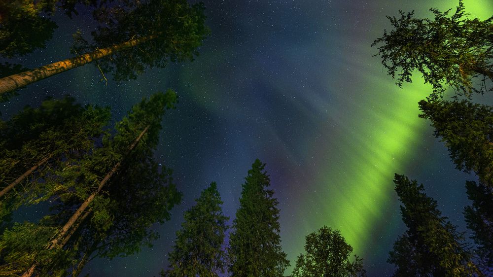 Photograph by Сильва Татьяна