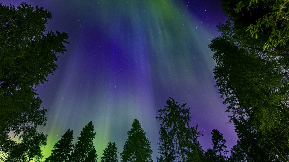 Photograph by Сильва Татьяна