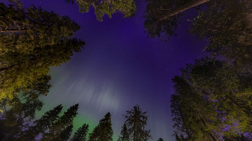 Photograph by Сильва Татьяна